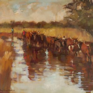 Cattle in the River