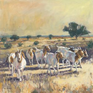 The Curious Goat
