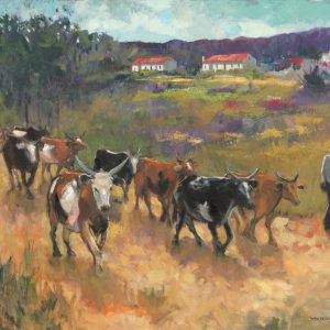 Bulls on the Road